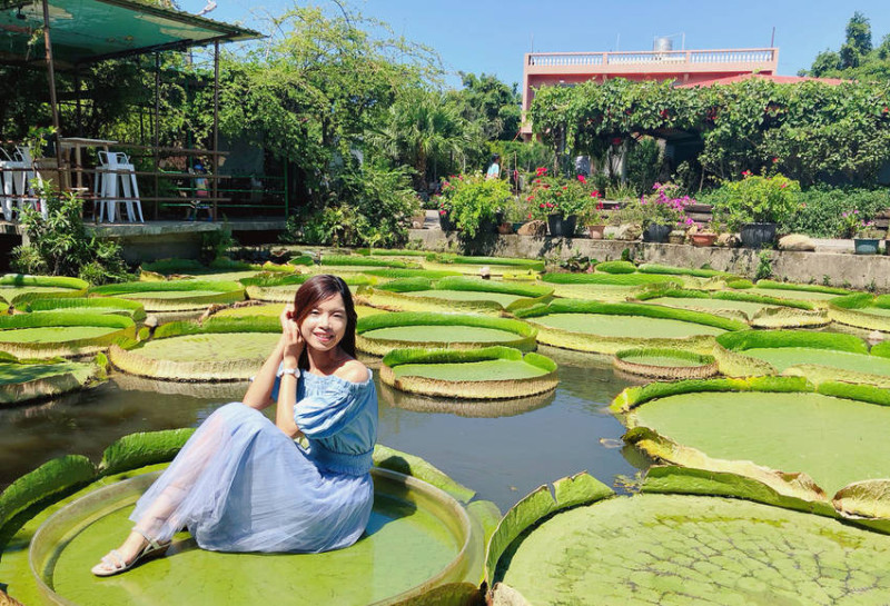 [桃園景點推薦]康莊蓮園-超狂網美打卡照!化身大王蓮葉上的拇指公主 - 美食好芃友