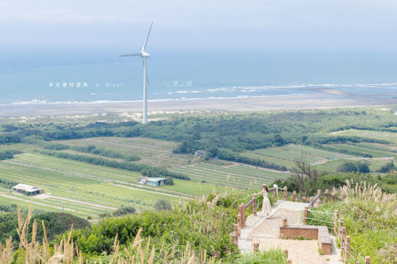 半天寮好望角,我們一起到山丘上的小濟州看海