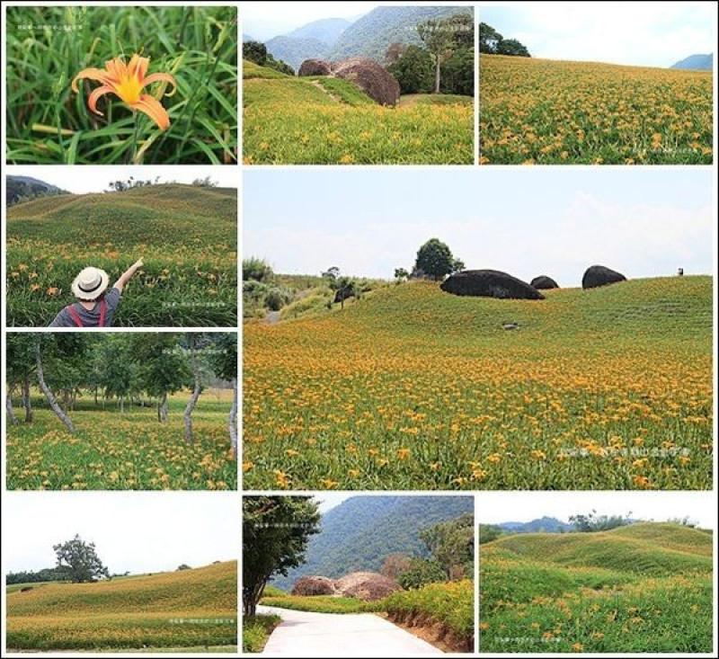 『花蓮。赤柯山金針花海』～季節限定／忘憂之旅／千噸石龜／巨石三兄弟