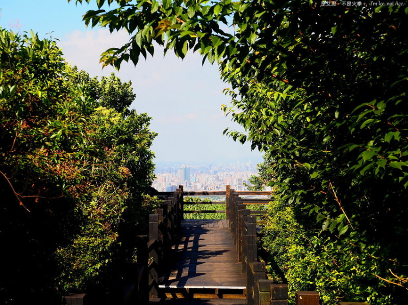 輕鬆遠眺雙北城景︱樹林大同山木棧道