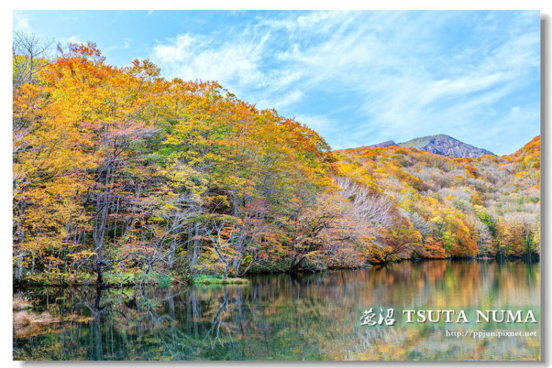 【日本】蔦沼。池面倒影如鏡，各色相互交疊，視覺的震撼與感動！