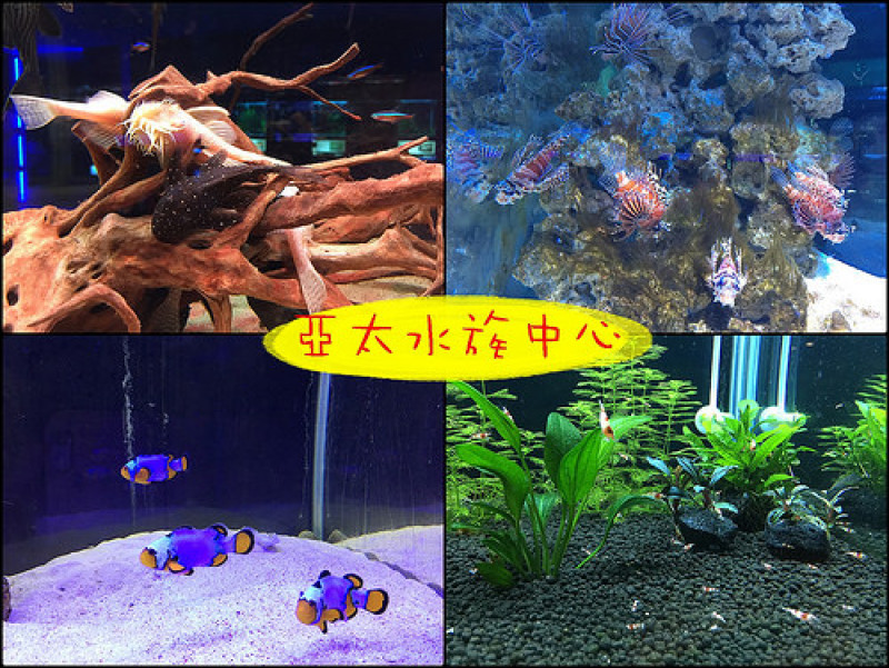 ☞【屏東 長治】農業生物科技園區「亞太水族中心」～觀賞水族動物展示之外，還可以欣賞草間彌生的兩大作品！！！