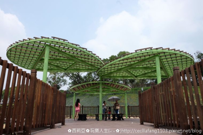 【台中。太平區】激推！！昔日舊軍營搖身一變成為滯洪環保綠森林~坪林森林公園