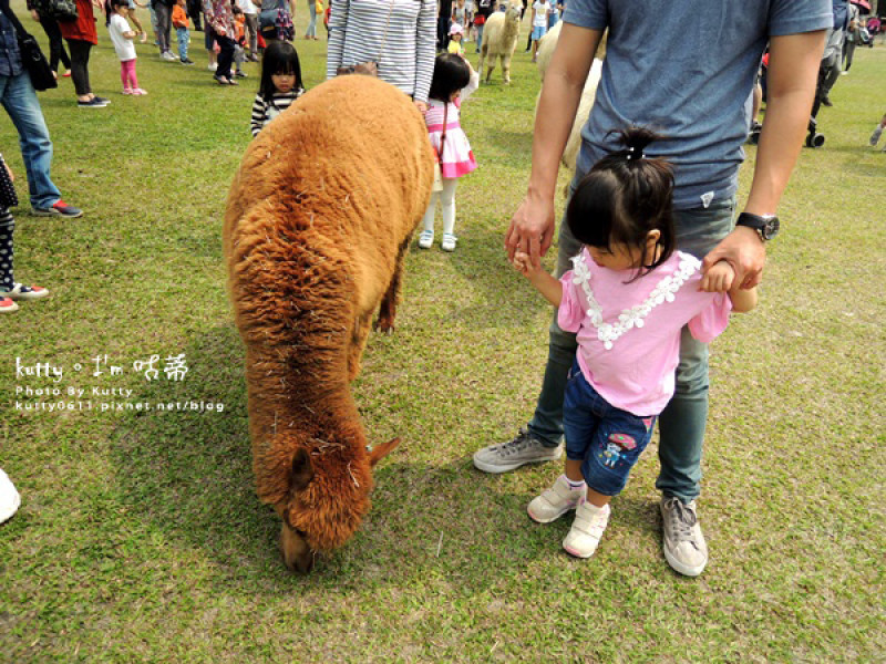 ▌新竹景點 ▌北埔_綠世界生態農場，金剛鸚鵡、草泥馬！親子旅遊踏踏青