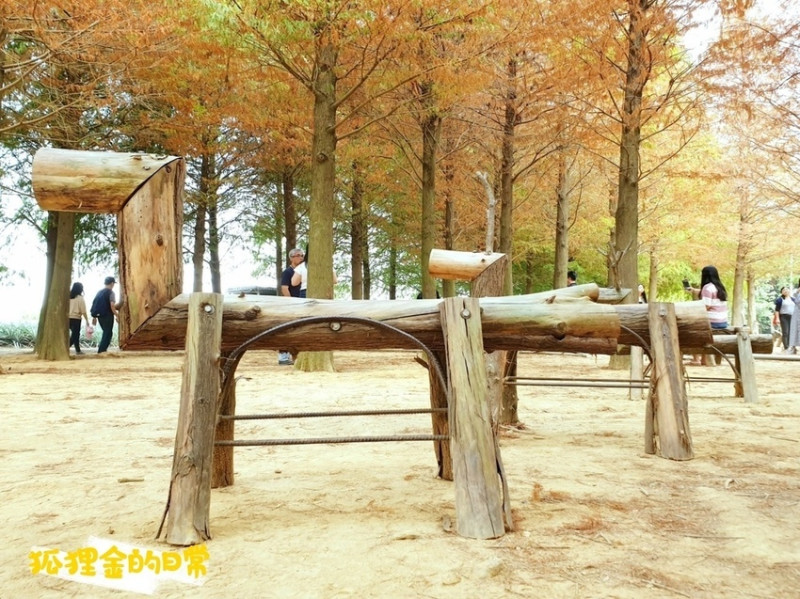 南投景點 │ 落羽松森林 超夯IG打卡景點 免費參觀落羽松秘境 南投、集集、水里一日吃喝玩樂遊建議路線公開