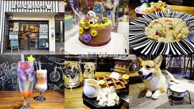 【捷運美食】Dog Boss 寵物友善餐廳 現點現作餐點用心 旺星人開心玩翻天！客製寵物蛋糕／捷運景安站        
      