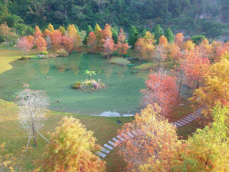 【苗栗景點。南庄 - 南庄雲水度假森林】南庄住宿泡湯推薦║南庄唯一溫泉！適合全家男女老少的休閒泡湯度假園區，好山好水好美麗的地方！目前還在試營運喔～