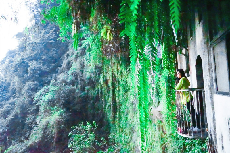 免費景點》新店銀河洞瀑布 IG美拍 人間仙境 瀑布森林浴 - 艾莉絲愛旅行