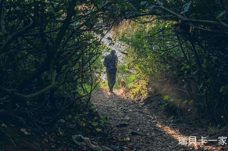 桃園觀音，草漯沙丘地質公園，穿過龍貓隧道就是台版撒哈拉沙漠。