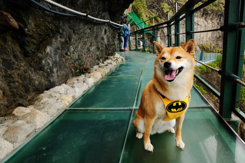 【遊。花蓮】豐濱天空步道/親不知子海上古道〜180度無敵海景，150公尺海上古道，號稱全台最驚險的天空步道！