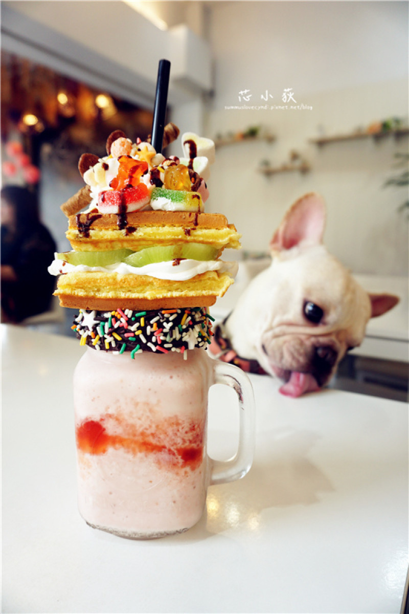 蕾芙蕊Le Foreri。超罪惡奶昔登場，鬆餅蓋在奶昔上，驚叫連連，乾燥花餐廳，網美打卡點，寵物友善餐廳!