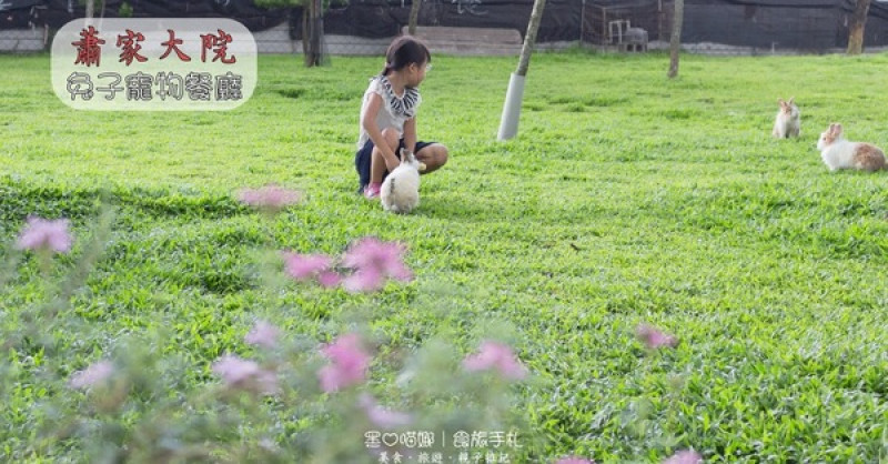 屏東︱蕭家大院兔子寵物餐廳　帶著孩子餵兔子、和兔子玩躲貓貓吧！        
      