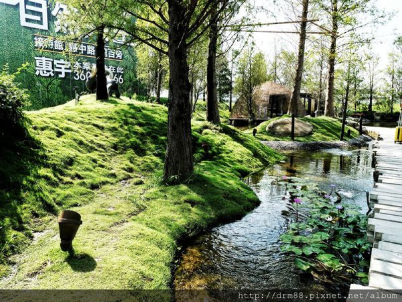 台中新打卡景點～惠宇祕境/在台中市區的湖畔小森林/森青自然共生/龍富夜市旁的小秘徑