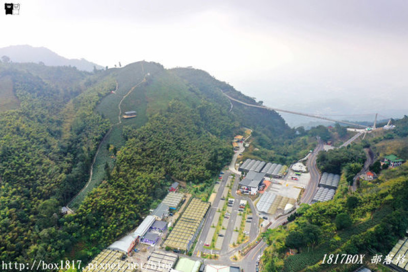 【嘉義。梅山】太平雲梯。全台最長、海拔最高的景觀吊橋。嘉義梅山旅遊景點