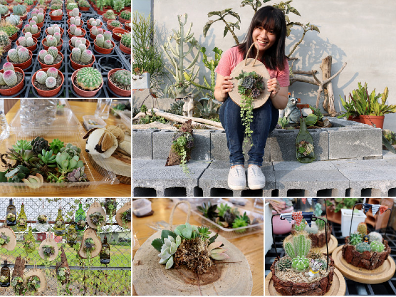 桃園｜荳荳．多肉植物與小雜貨 多肉農場．多肉DIY手作課程