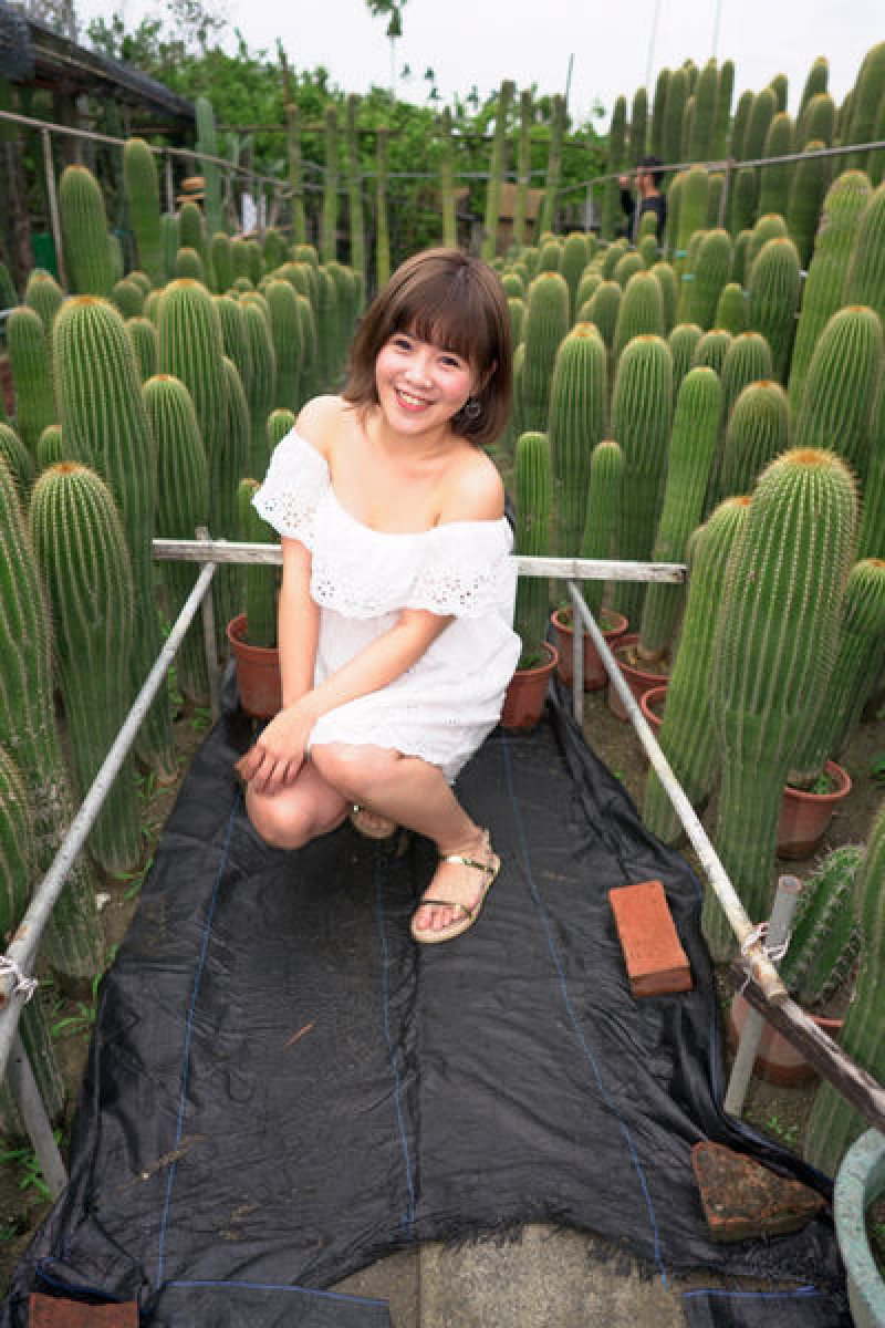 | Taiwan Changhua  台灣 彰化 ☻ 農村仙人掌園 | IG爆紅景點 .  小仙(鮮)肉 . 仙人掌秘境 . 萌萌肉肉植物