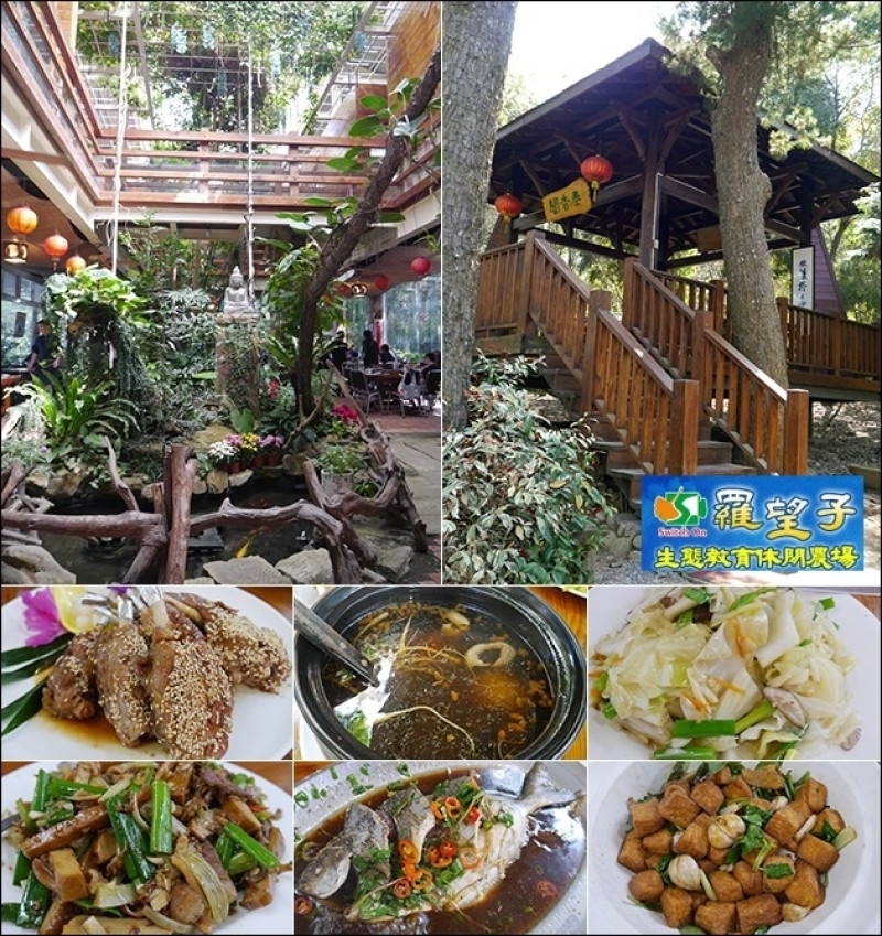 【台中景觀餐廳】羅望子生態教育農場(寵物友善餐廳)，環境清幽、視野寬闊、服務親切。提供住宿、美味料理、戶外教學生態體驗、園藝體驗、酵素製作等等