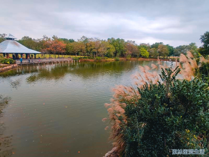 八德埤塘生態公園-親子踏青野餐大草皮.友善生態環境教育場所 - 潔絲蜜愛生活