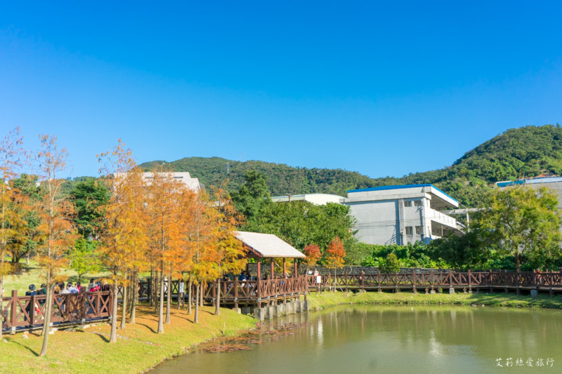 台北一日遊》台北市區落羽松美景 原住民文化主題公園 大湖公園 免費景點 - 艾莉絲愛旅行