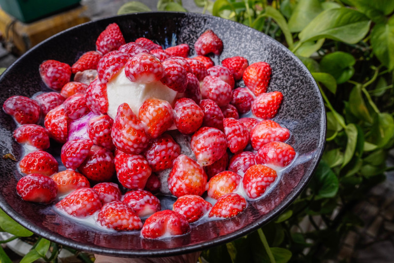 文喬綿綿冰X魔王 高雄三民區 如果富士山都是草莓 那我要去爬 期間限定-草莓富士山綿綿冰 內文有店家資訊