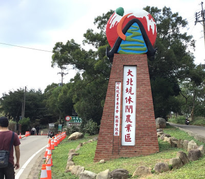 桃園龍潭景點[大北坑休閒農業區] 戀戀魯冰花˙吃喝玩樂盡在其中