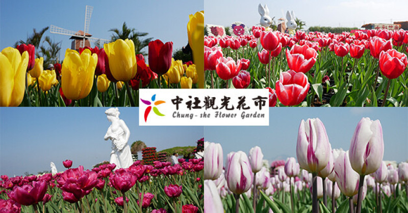 【台中景點】中社觀光花市(寵物友善景點)，如果想要來一場與鬱金香共舞、徜徉在偽荷蘭國度的鬱金香花海裡可別錯過，今年鬱金香花季將於3月19日結束。台中親子旅遊景點