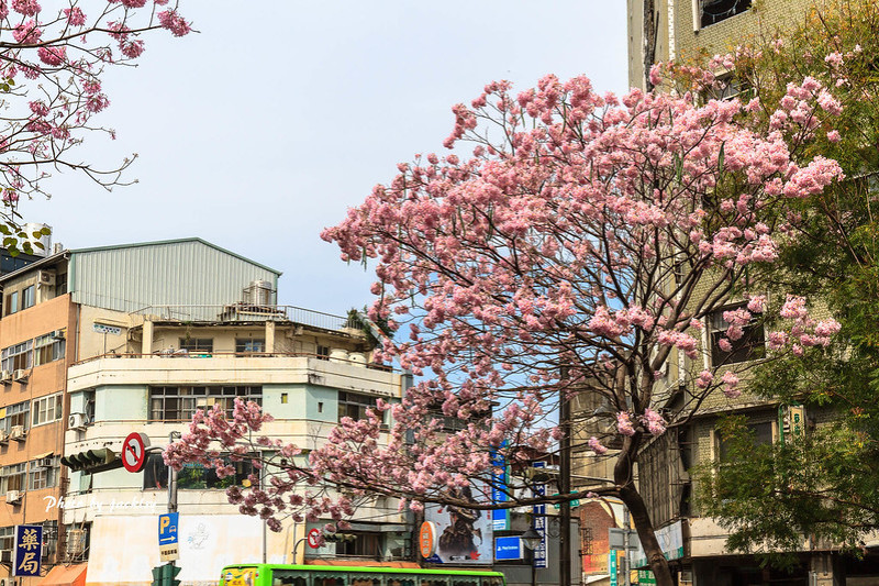 190330台中-新盛綠川水岸廊道