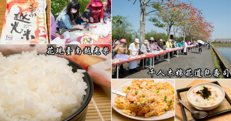 【臺南美食】花現臺南越光米，千人於木棉花道手作長壽司~臺南越光米(臺南16號品種)        
      