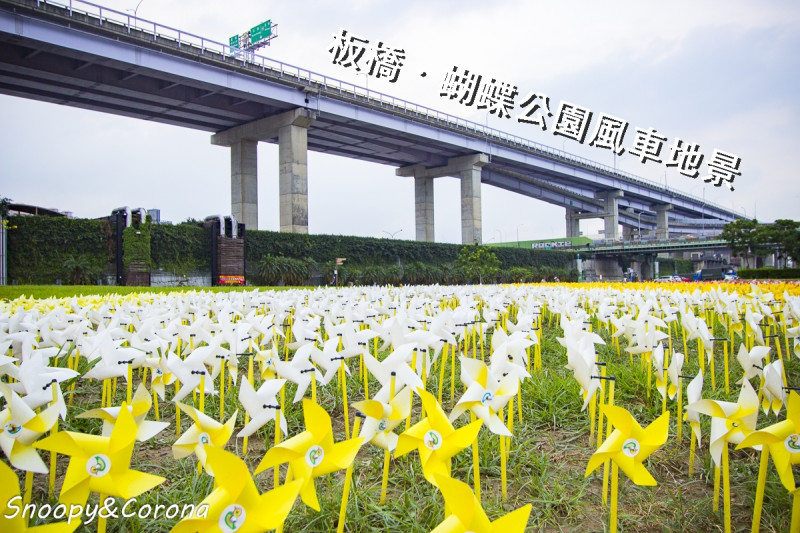 板橋蝴蝶公園／江翠礫間水岸公園～9萬支彩色風車打造壯觀地景藝術與光雕蝴蝶