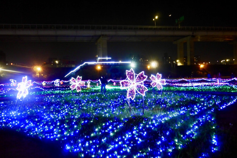 夜晚17萬支光雕幻影彩蝶，白天九萬隻繽紛風車，美翻的蝴蝶公園(新北市板橋區)