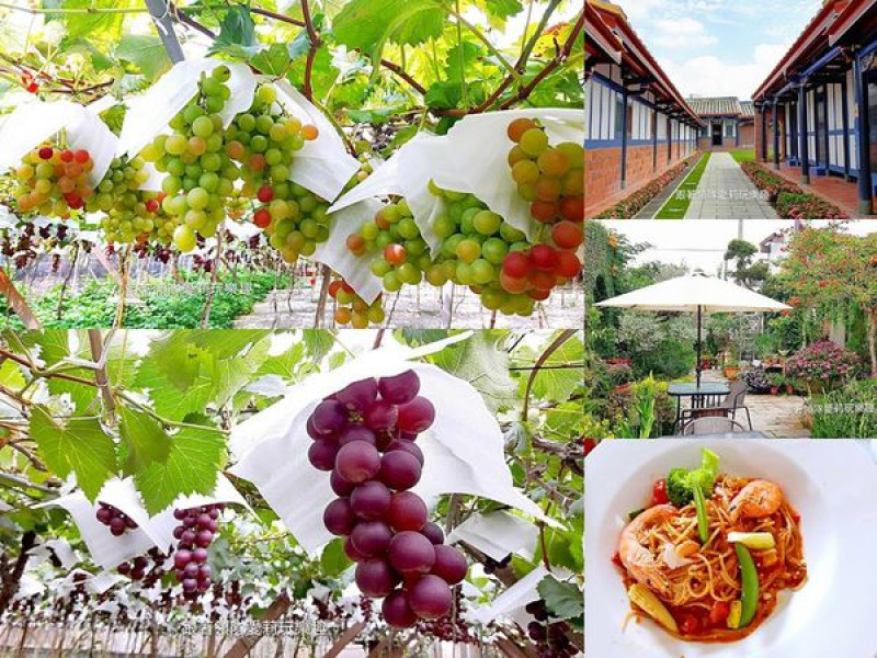 【彰化  旅遊】大村巨峰葡萄採果樂一日遊 X 成美文化園區 X綠海咖啡