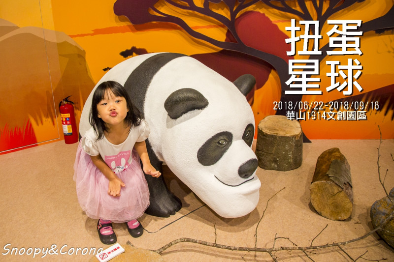 扭蛋星球特展～走進放大的扭蛋世界，好好玩好好拍好療癒