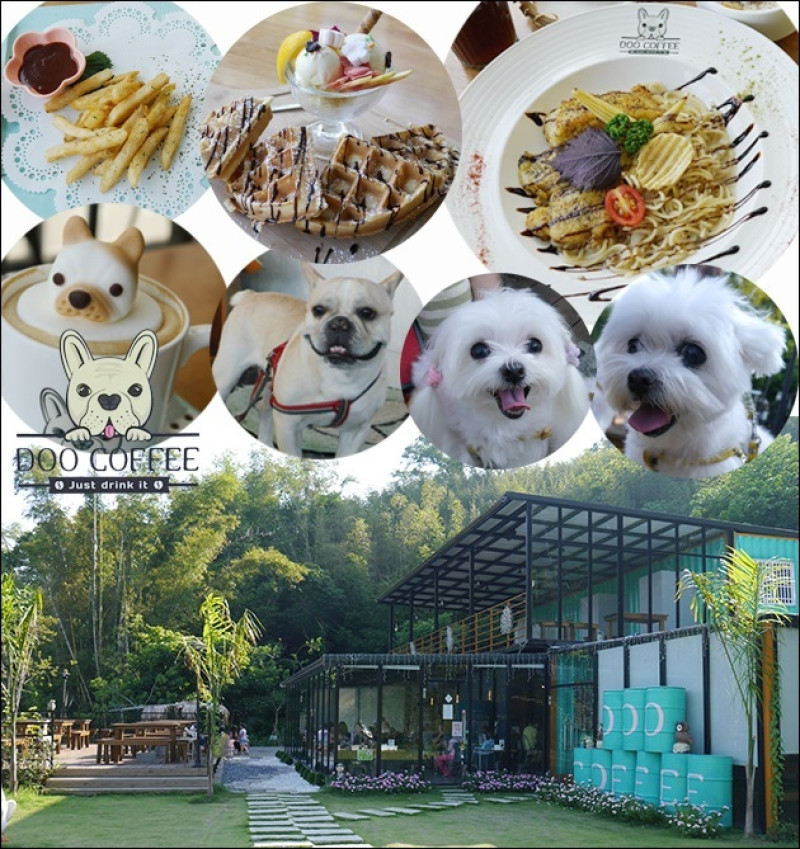 【苗栗景觀餐廳】Doo Coffee景觀咖啡餐廳(寵物友善餐廳)，山中貨櫃玻璃屋內有享樂祕境露營區。提供義大利麵、燉飯、小火鍋、披薩、鬆餅、咖啡和飲品