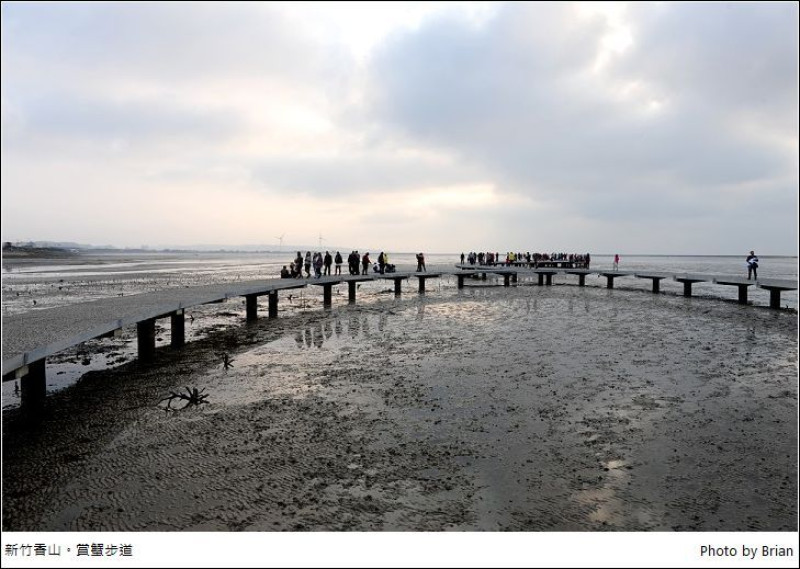 新竹香山濕地賞蟹步道。散步濕地之上欣賞夕陽招潮蟹彈塗魚