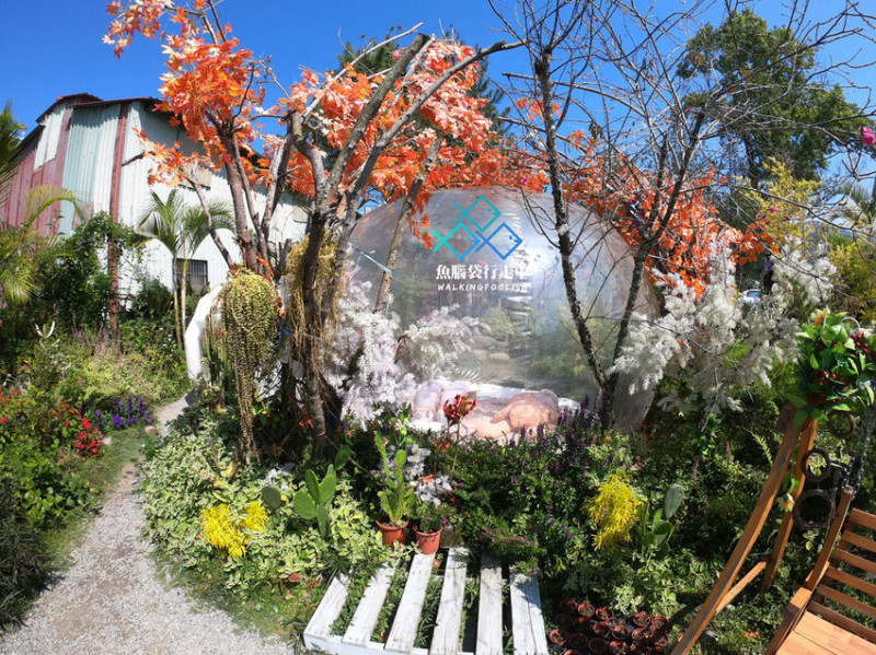 南投埔里│佛心來的多肉秘境花園，快來帶走專屬你的療癒系盆栽吧！