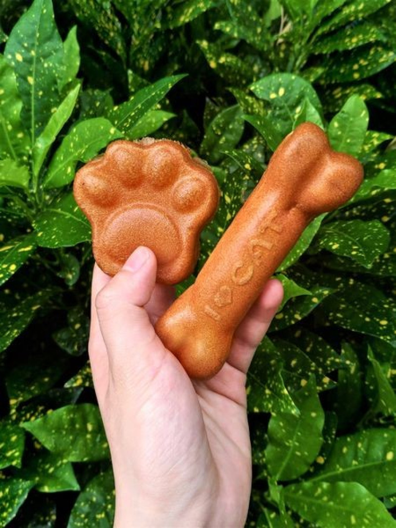 台北中山｜咖啡汪汪雞蛋糕～狗店長小食！蛋奶香濃郁的可愛雞蛋糕（捷運中山站）～