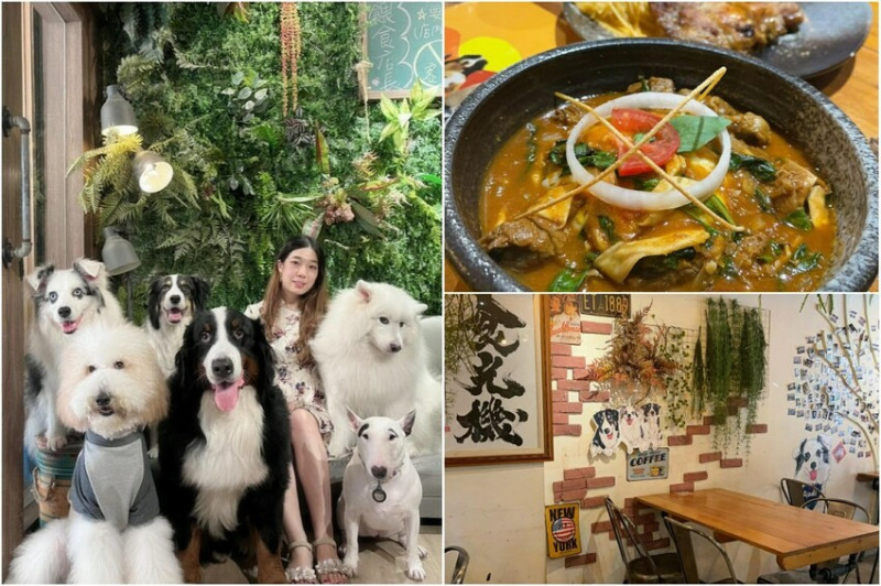桃園內壢必去人氣寵物友善餐廳— 食·光機 Food Machine，滿滿的五隻店狗讓你撸到爽，還可以跟他們一起合照留
