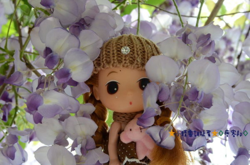 Ω攝影創作設計Ω中華大學浪漫紫藤花★小精靈胡扯蛋★2014.03.29