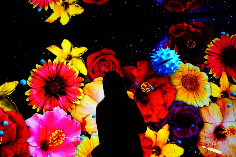 台中花博后里森林園區 || 最強花博拍照打卡與美食攻略讓你到哪都像快速通關，友達微美館全台最大的556吋顯示器拼接牆，聆聽花開的聲音綻放的美不勝收