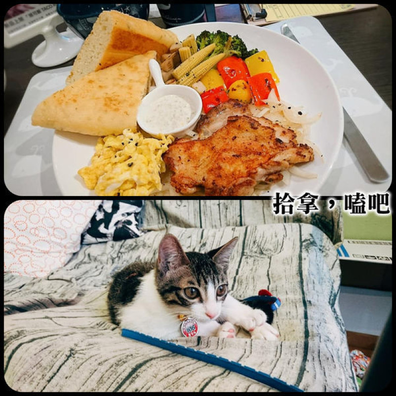 萌貓與料理！多麼幸福的組合～拾拿，嗑吧。