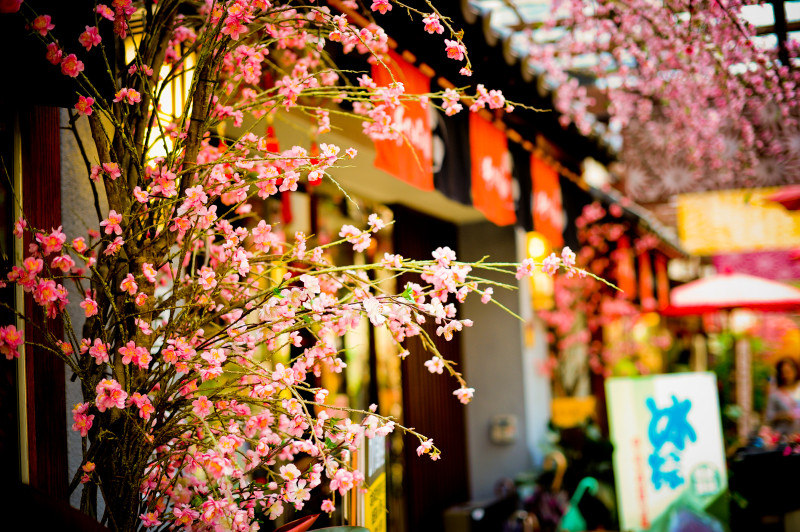 【土城】很日本的手信坊文化形象館