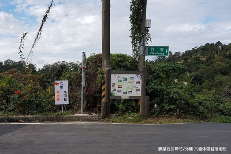 【新竹/北埔】六塘休閒谷的美麗落羽松