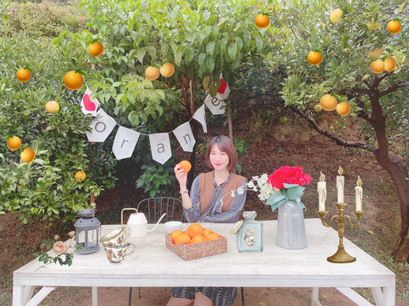 橙香森林 ▏IG上夢幻的橘子隧道就在這裡 明德水庫旁最浪漫的橘子園。超大草坪、情侶約會、採果、親子同樂推薦。苗栗景觀餐廳 / 苗栗景點