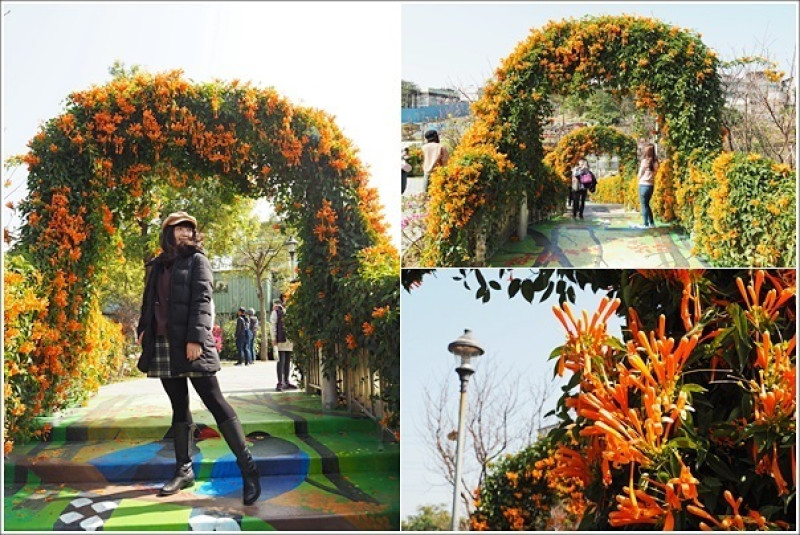 新北鶯歌｜鶯歌永吉公園．炮仗花綻放！創意3D畫超吸睛
