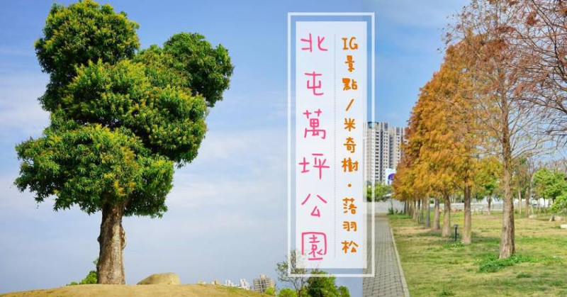 台中景點|北屯萬坪公園親子野餐地點推薦，落羽松大道已轉紅，建議先去大雅麥田，再來這野餐拍照! - 艾薇覓食趣