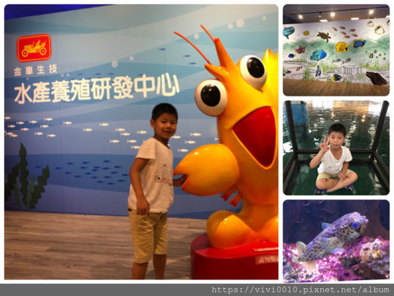 圓圓家出去玩-《宜蘭景點》2019宜蘭最火紅免費景點，超多種水族動物，還有鯊魚餵食體驗，宜蘭雨備景點