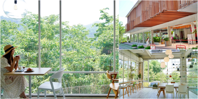 南投縣魚池鄉｜蠻荒咖啡 Desolate Coffee