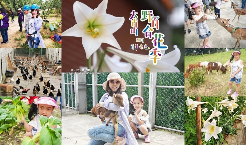 大古山休閒農業園區 2019野百合花季 桃蘆坑/水鹿之家/猴囝仔攀樹/菜滋味鄉村體驗 親近大自然旳親子套裝行程