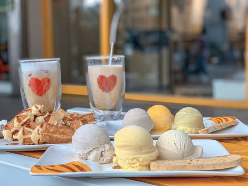 【北投x下午茶】一日貓奴 x 花蓮正當冰來啦！