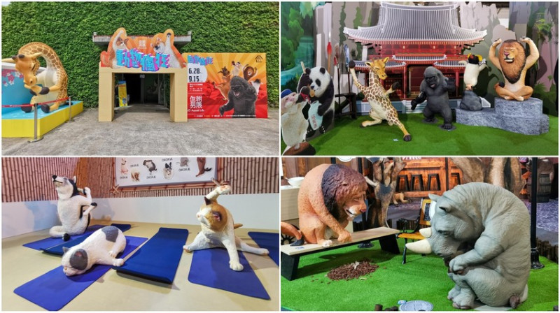 動物也瘋狂 朝隈俊男的 Animal Life 特展－超療癒動物瘋狂登場